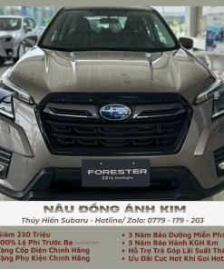 il-eyesight-2024-nau-dong-anh-kim