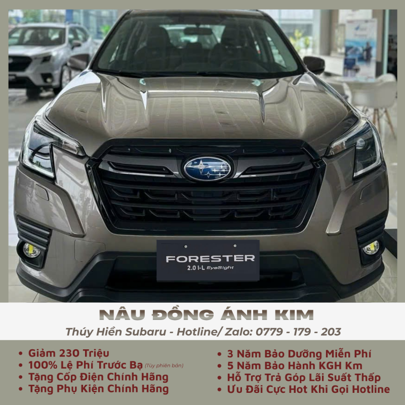 il-eyesight-2024-nau-dong-anh-kim