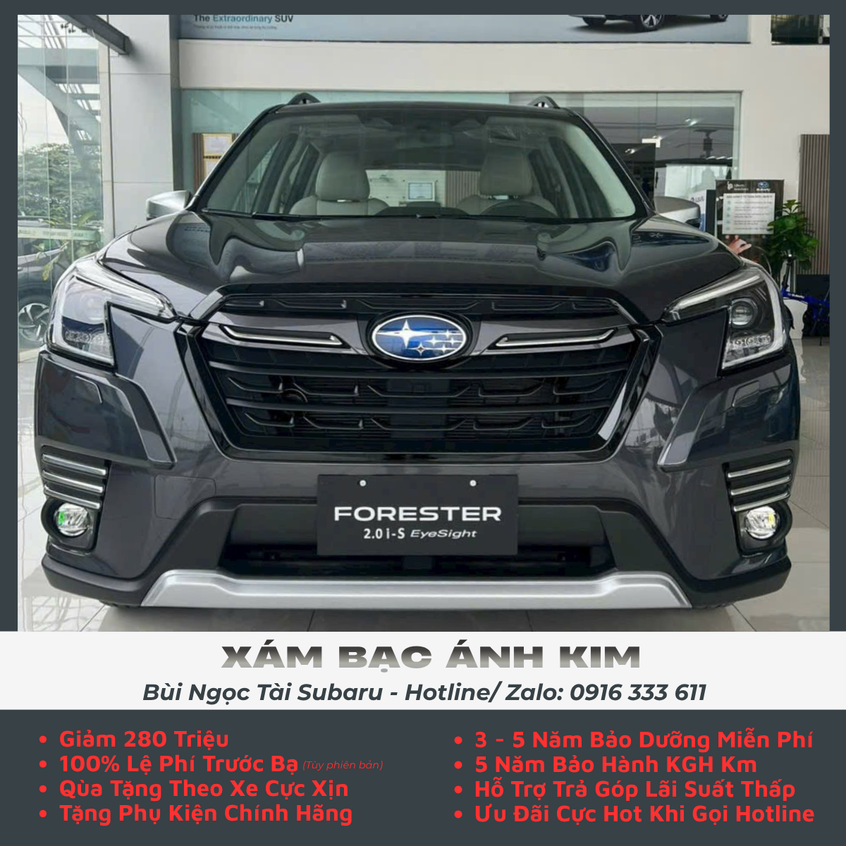 is-eyesight-2024-xam-bac-anh-kim